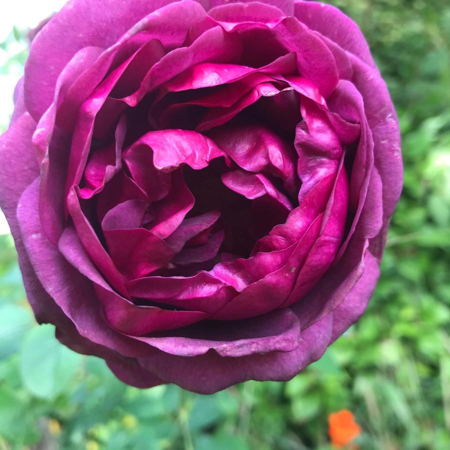Maison M On The Dordogne 생트 포이 라 그랑드 외부 사진