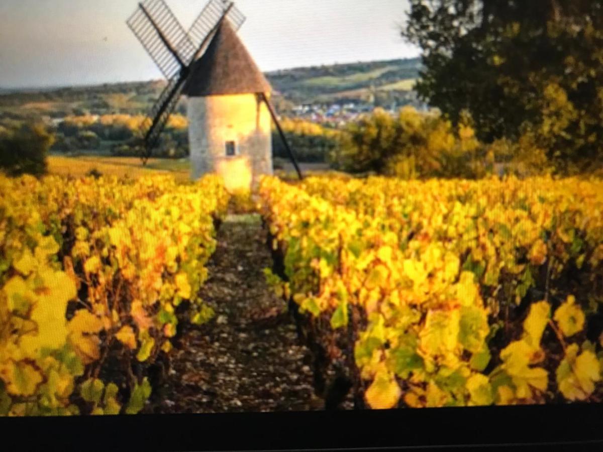 Maison M On The Dordogne 생트 포이 라 그랑드 외부 사진