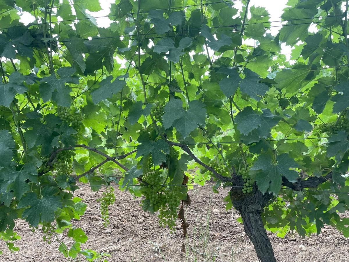 Maison M On The Dordogne 생트 포이 라 그랑드 외부 사진
