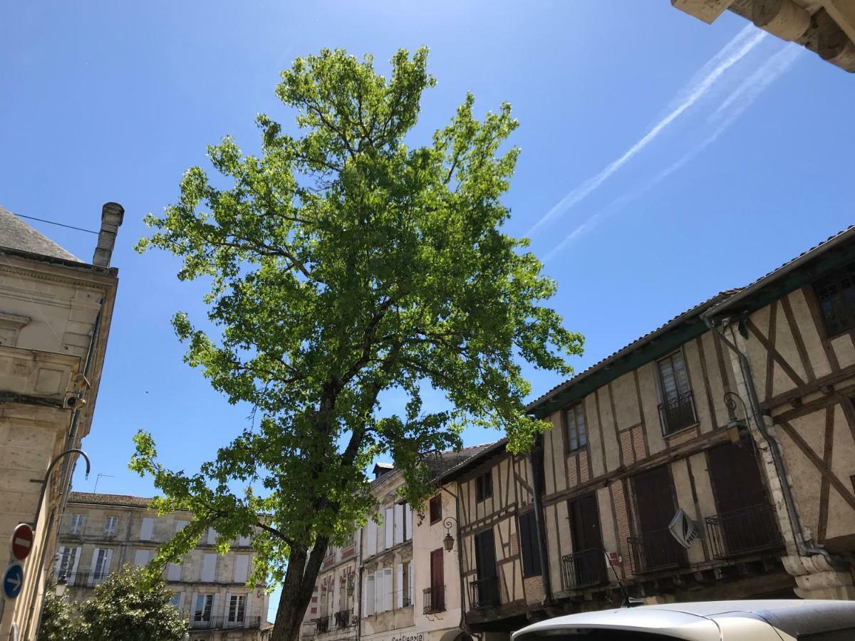 Maison M On The Dordogne 생트 포이 라 그랑드 외부 사진